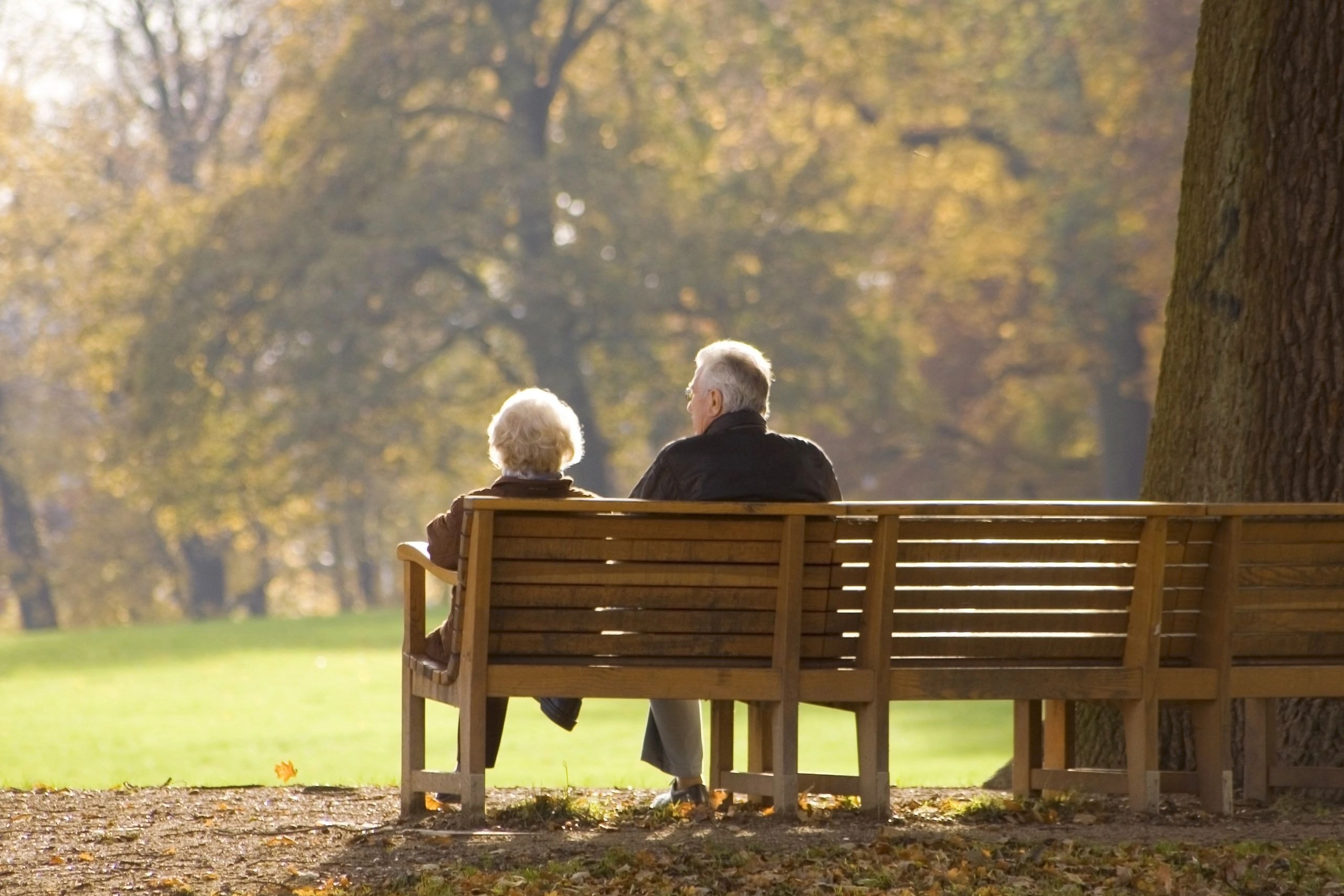 Elderly couple sitting on a park bench in autumn